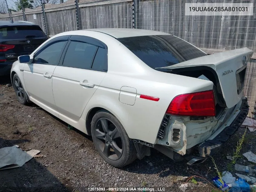 2005 Acura Tl VIN: 19UUA66285A801031 Lot: 12075093