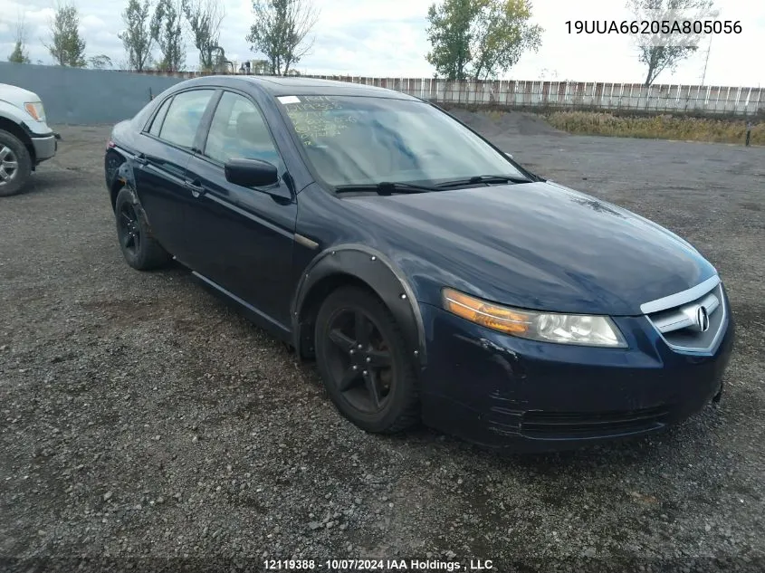 19UUA66205A805056 2005 Acura Tl