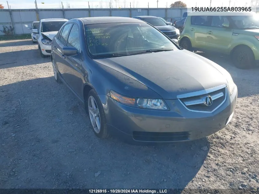 2005 Acura Tl VIN: 19UUA66255A803965 Lot: 12126915