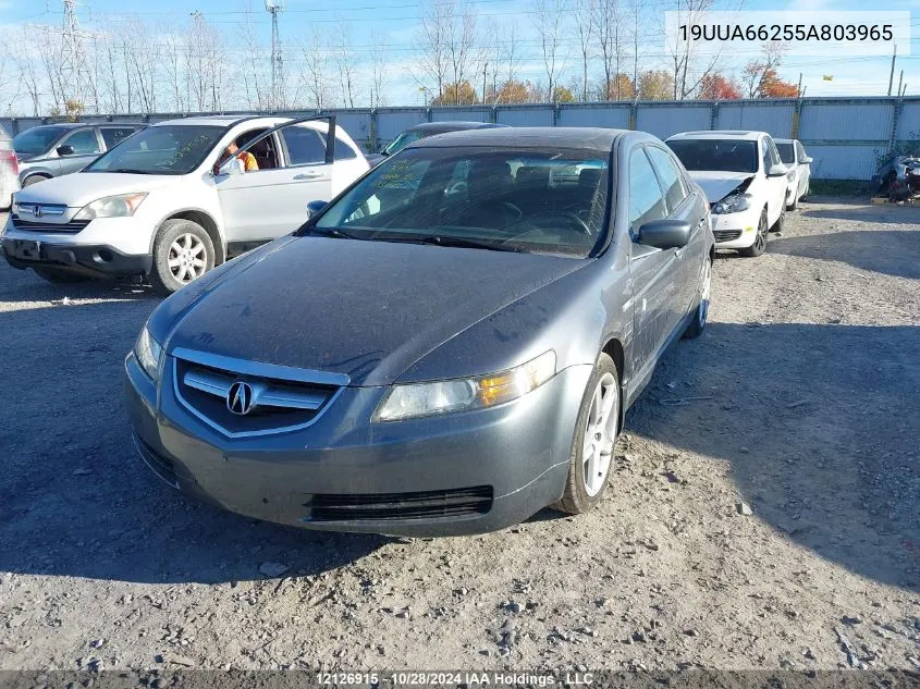 2005 Acura Tl VIN: 19UUA66255A803965 Lot: 12126915