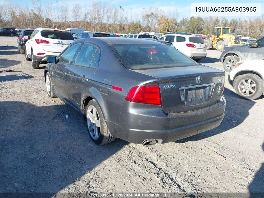 2005 Acura Tl VIN: 19UUA66255A803965 Lot: 12126915