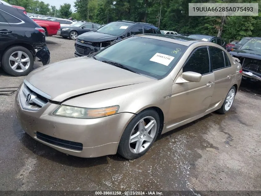 2005 Acura Tl VIN: 19UUA66285A075493 Lot: 39883250