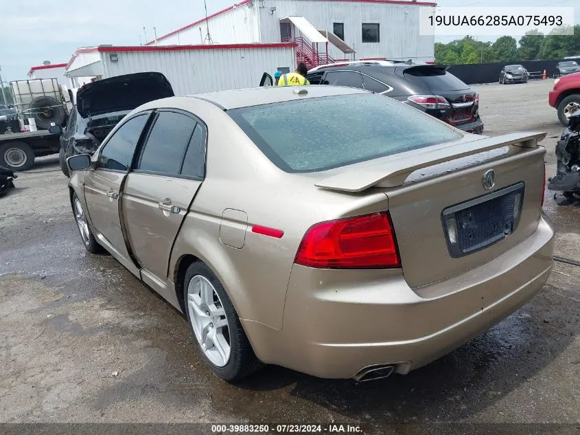 2005 Acura Tl VIN: 19UUA66285A075493 Lot: 39883250