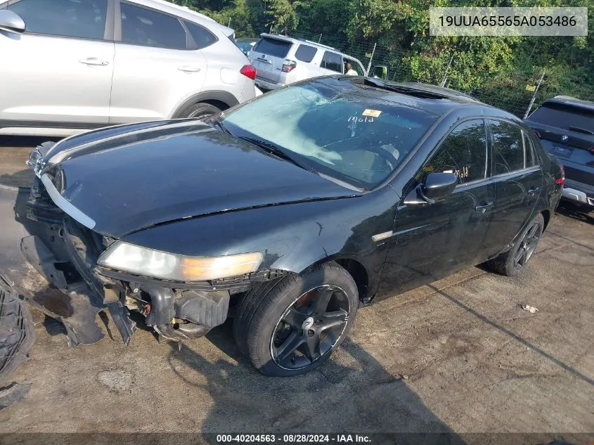 19UUA65565A053486 2005 Acura Tl