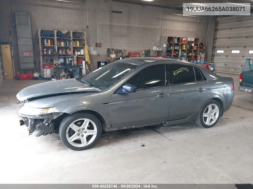 2005 Acura Tl VIN: 19UUA66265A038071 Lot: 40228746