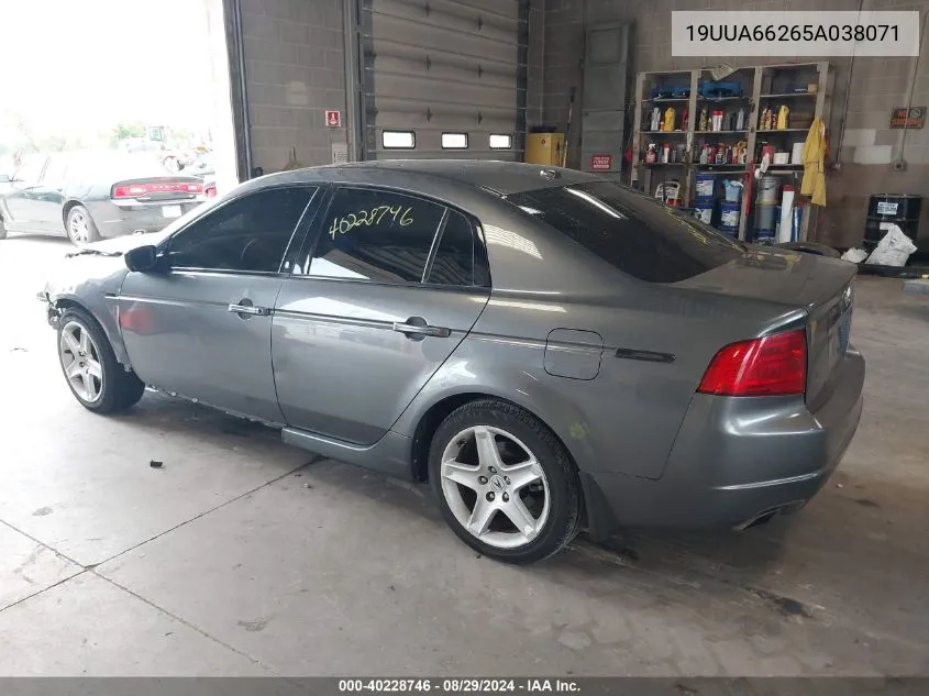 2005 Acura Tl VIN: 19UUA66265A038071 Lot: 40228746