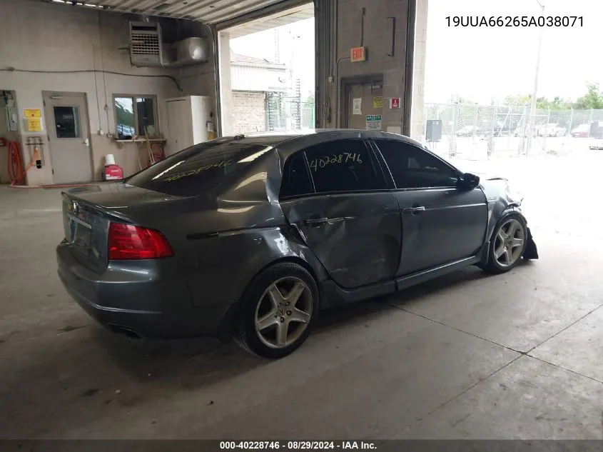 2005 Acura Tl VIN: 19UUA66265A038071 Lot: 40228746