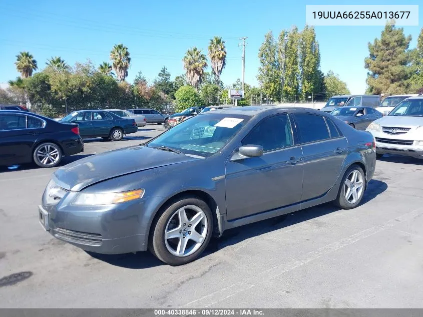 2005 Acura Tl VIN: 19UUA66255A013677 Lot: 40338846