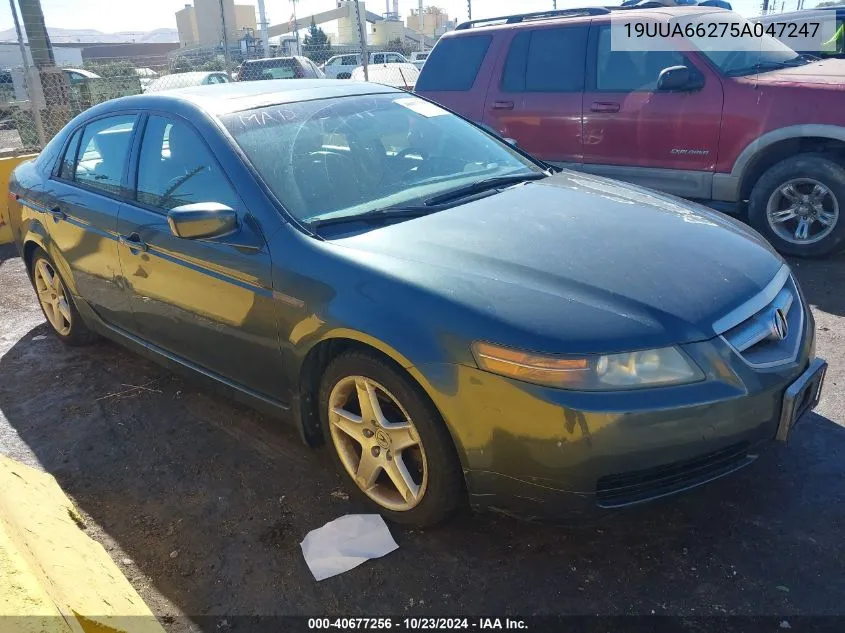 2005 Acura Tl VIN: 19UUA66275A047247 Lot: 40677256