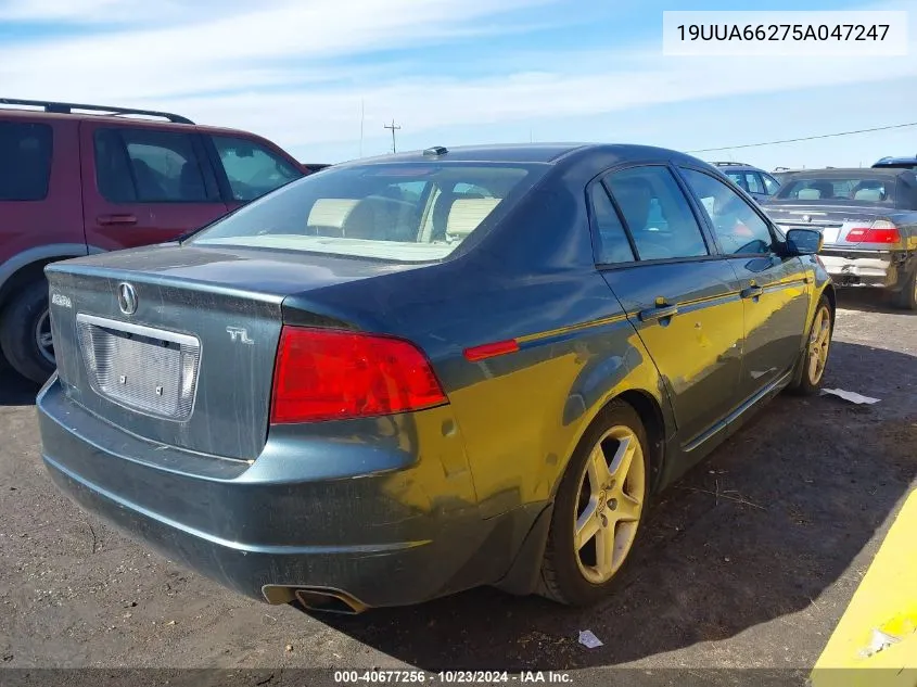 2005 Acura Tl VIN: 19UUA66275A047247 Lot: 40677256