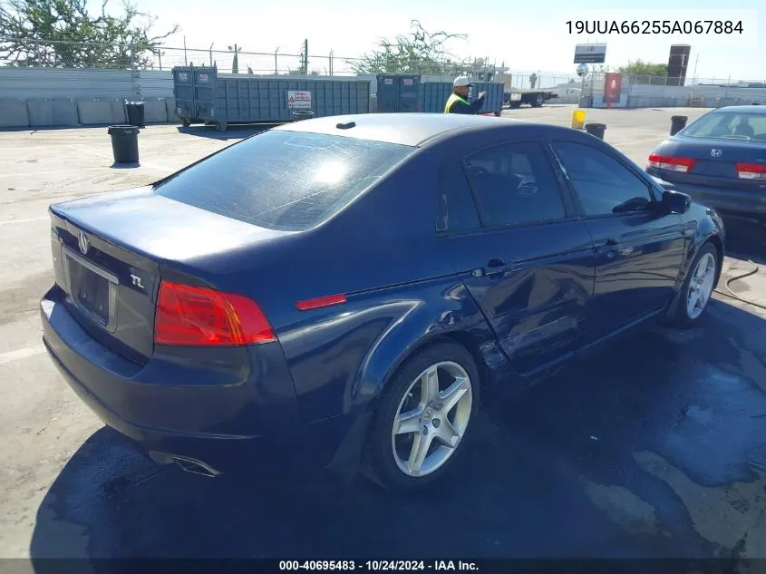 2005 Acura Tl VIN: 19UUA66255A067884 Lot: 40695483