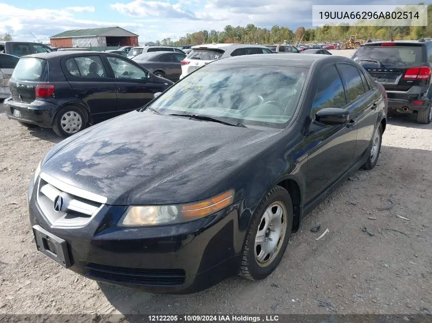 2006 Acura 3.2Tl VIN: 19UUA66296A802514 Lot: 12122205