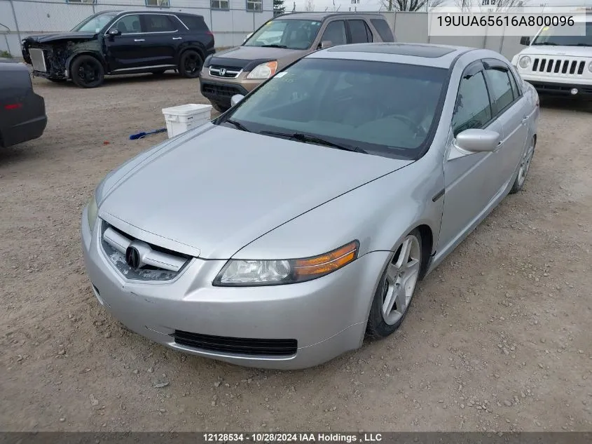 2006 Acura Tl VIN: 19UUA65616A800096 Lot: 12128534