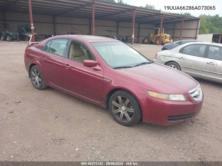 19UUA66286A073065 2006 Acura Tl