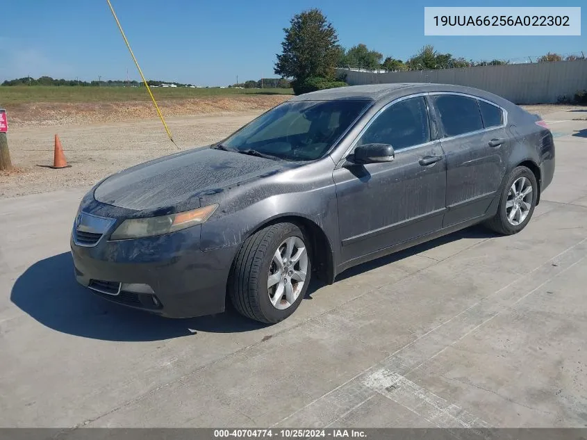 2006 Acura Tl VIN: 19UUA66256A022302 Lot: 40704774