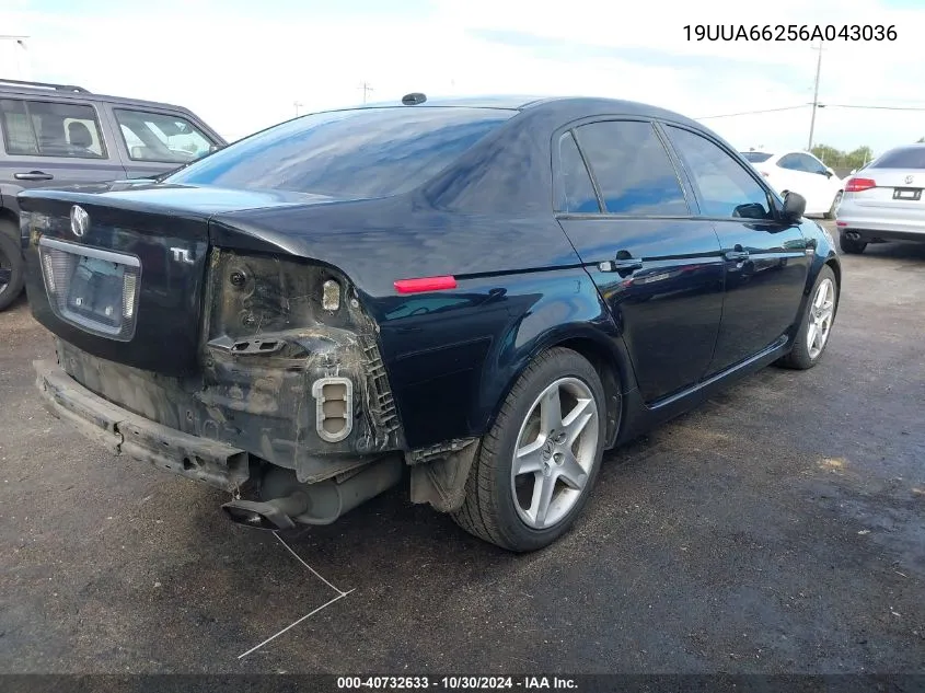 2006 Acura Tl VIN: 19UUA66256A043036 Lot: 40732633