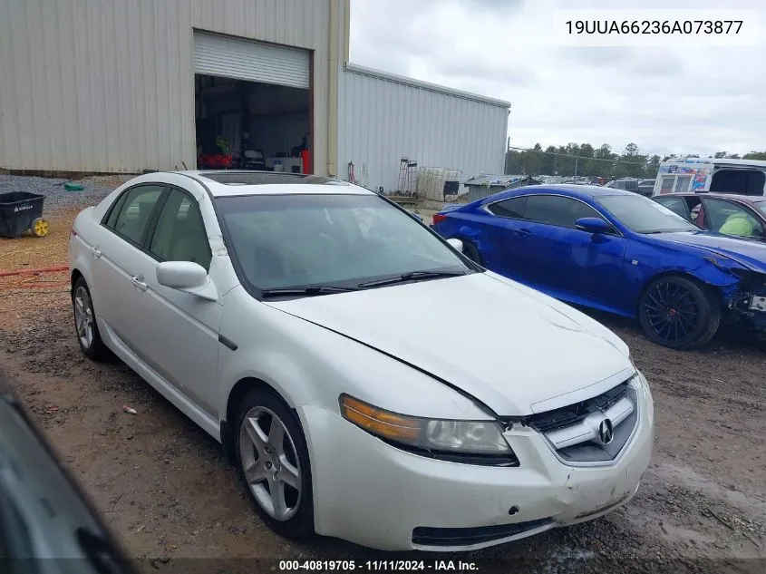 2006 Acura Tl VIN: 19UUA66236A073877 Lot: 40819705