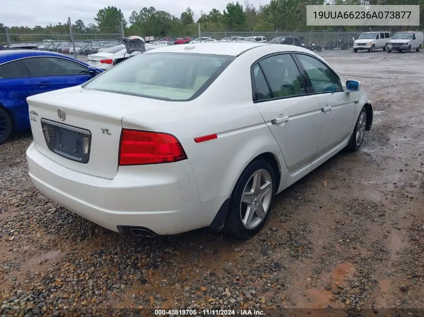 2006 Acura Tl VIN: 19UUA66236A073877 Lot: 40819705