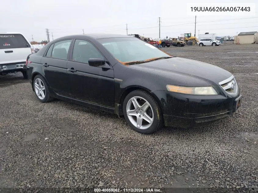 2006 Acura Tl VIN: 19UUA66266A067443 Lot: 40859062