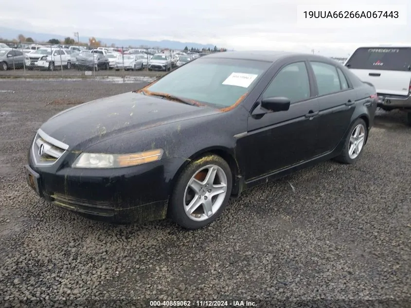 2006 Acura Tl VIN: 19UUA66266A067443 Lot: 40859062