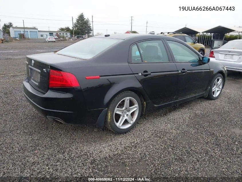 2006 Acura Tl VIN: 19UUA66266A067443 Lot: 40859062