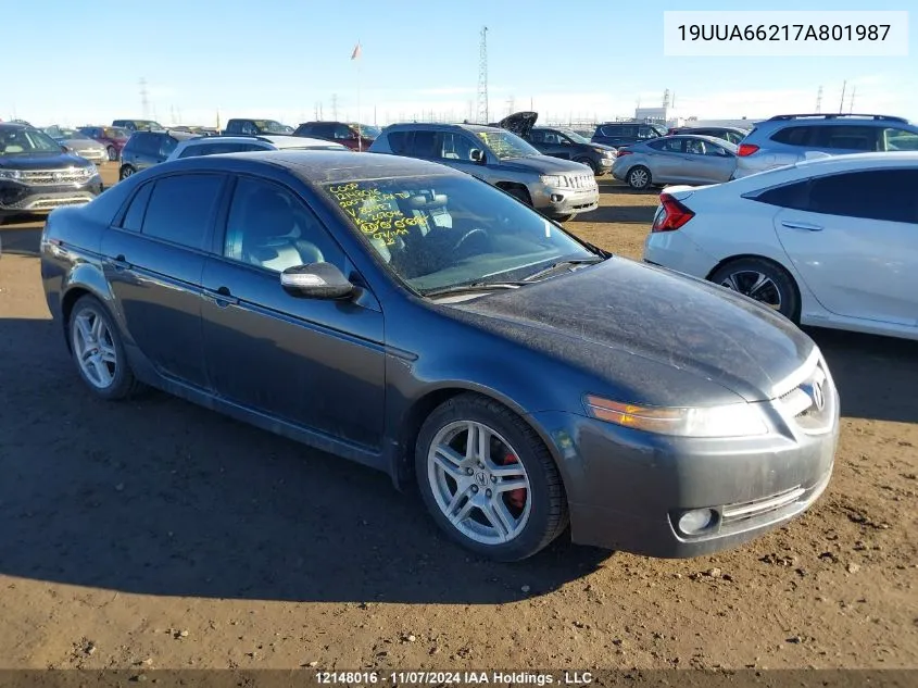 2007 Acura Tl VIN: 19UUA66217A801987 Lot: 12148016