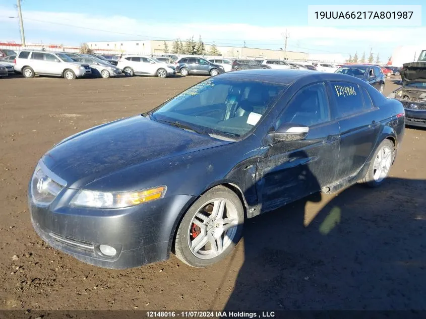 2007 Acura Tl VIN: 19UUA66217A801987 Lot: 12148016