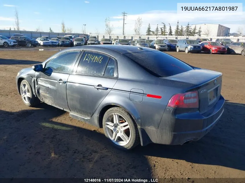 2007 Acura Tl VIN: 19UUA66217A801987 Lot: 12148016