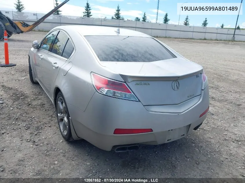 2009 Acura Tl VIN: 19UUA96599A801489 Lot: 12057852