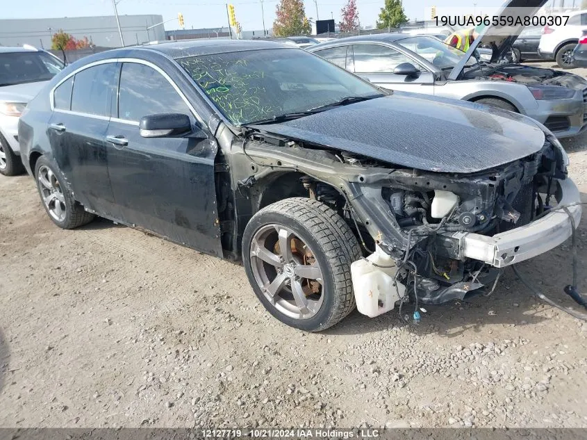 2009 Acura Tl VIN: 19UUA96559A800307 Lot: 12127719