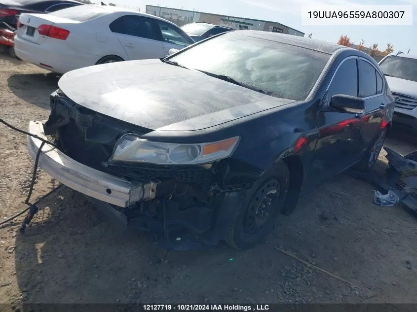 2009 Acura Tl VIN: 19UUA96559A800307 Lot: 12127719