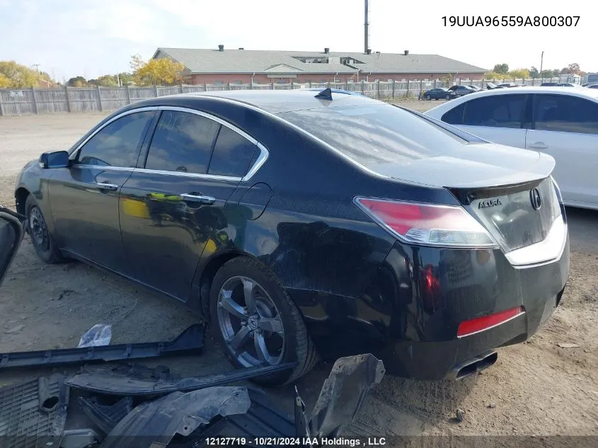 2009 Acura Tl VIN: 19UUA96559A800307 Lot: 12127719