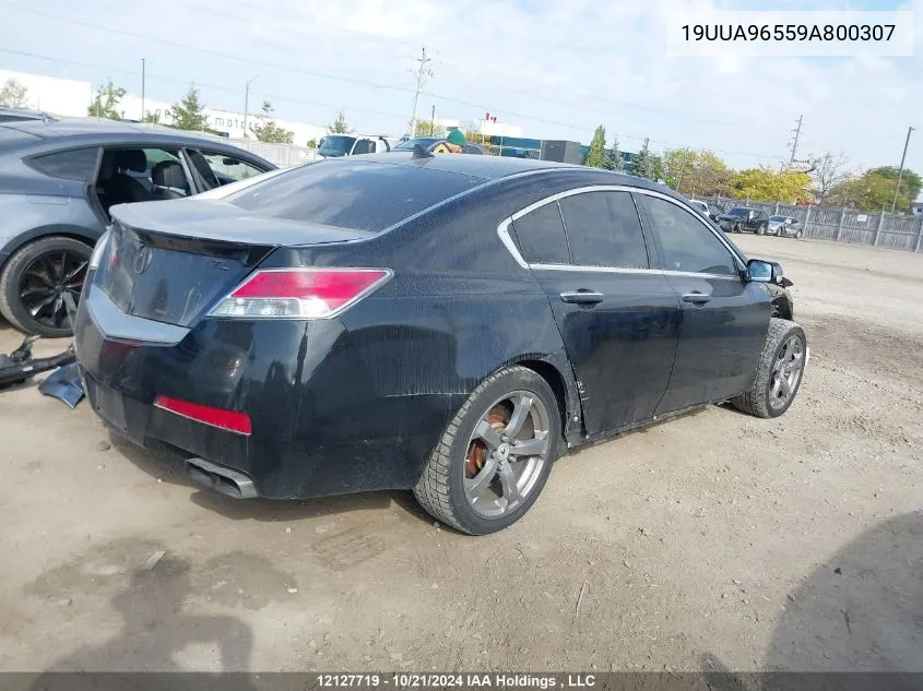 2009 Acura Tl VIN: 19UUA96559A800307 Lot: 12127719