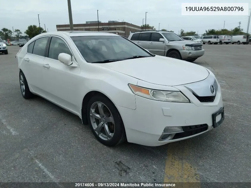 2009 Acura 3.7 Tl VIN: 19UUA96529A800796 Lot: 20174606