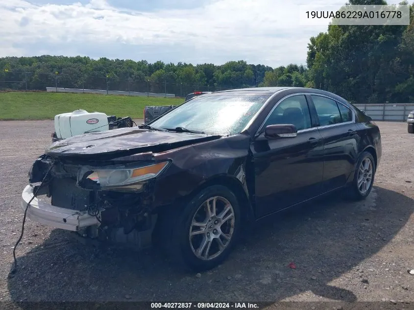 2009 Acura Tl 3.5 VIN: 19UUA86229A016778 Lot: 40272837