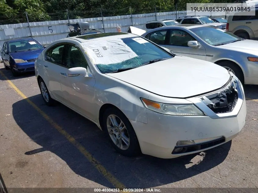 2009 Acura Tl 3.5 VIN: 19UUA86539A019845 Lot: 40304253