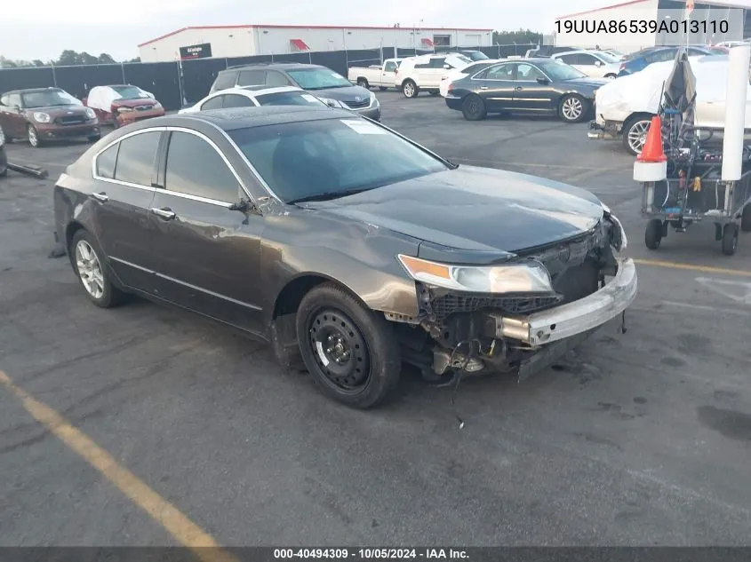 2009 Acura Tl VIN: 19UUA86539A013110 Lot: 40494309