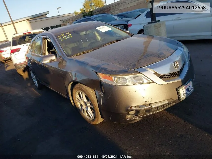 2009 Acura Tl 3.5 VIN: 19UUA86529A012658 Lot: 40531654