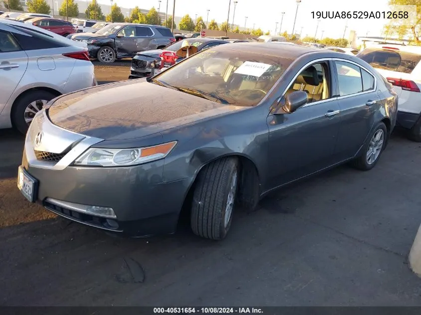 2009 Acura Tl 3.5 VIN: 19UUA86529A012658 Lot: 40531654