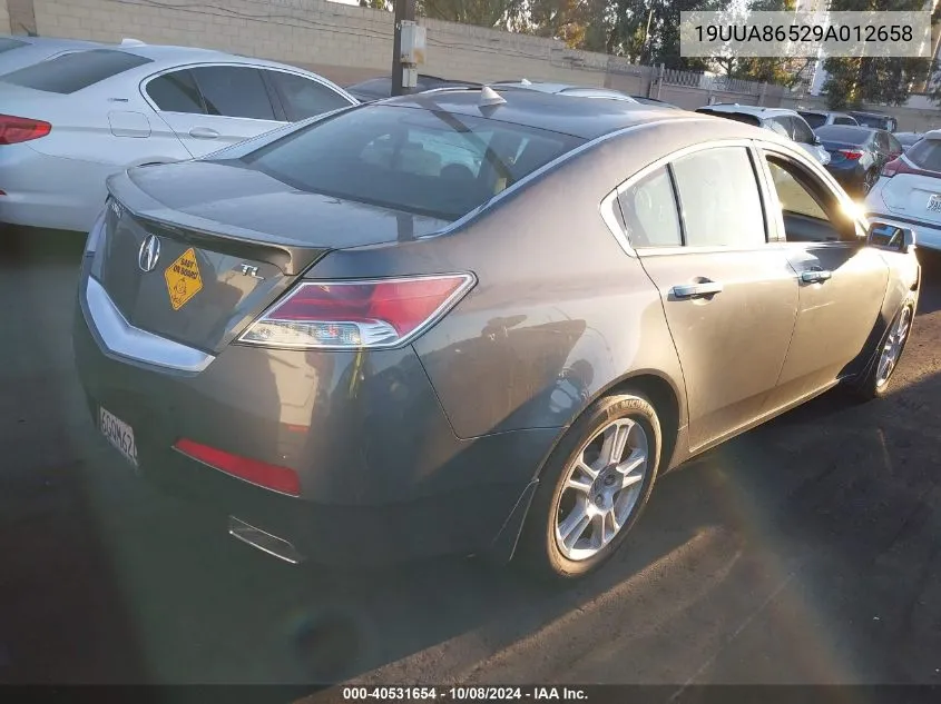 2009 Acura Tl 3.5 VIN: 19UUA86529A012658 Lot: 40531654