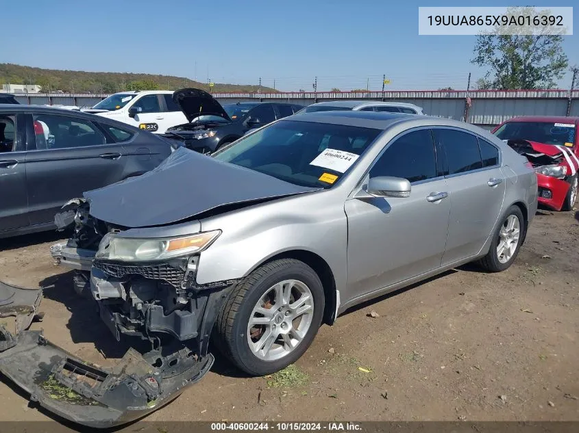 2009 Acura Tl 3.5 VIN: 19UUA865X9A016392 Lot: 40600244