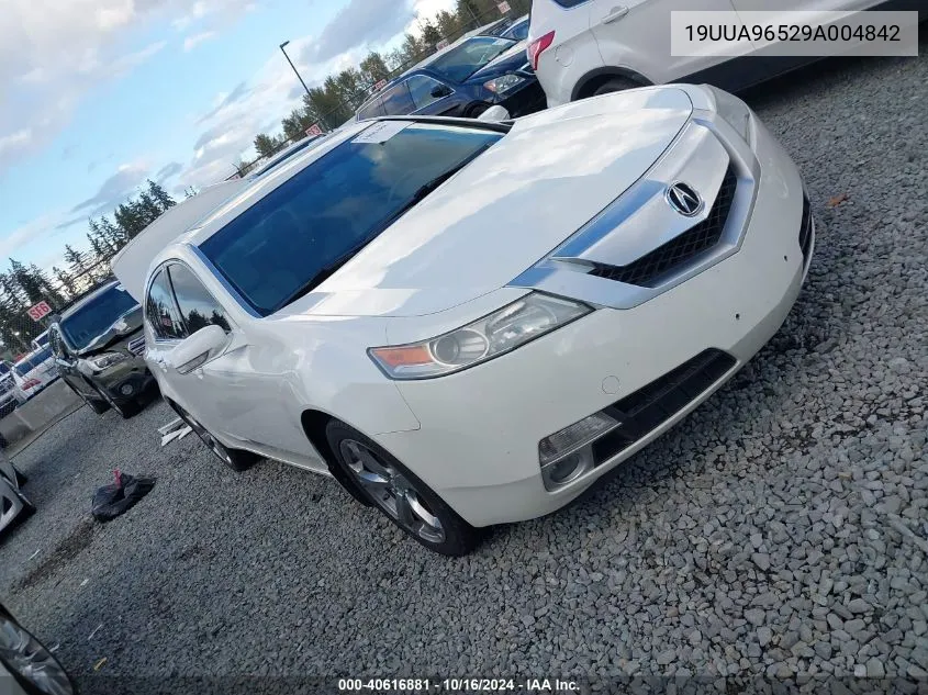 2009 Acura Tl 3.7 VIN: 19UUA96529A004842 Lot: 40616881