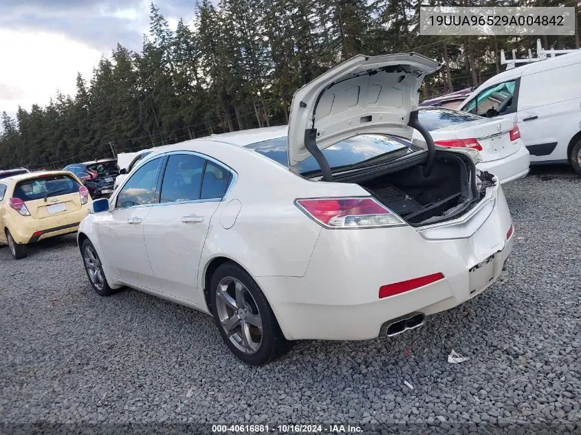 2009 Acura Tl 3.7 VIN: 19UUA96529A004842 Lot: 40616881