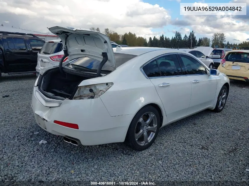 2009 Acura Tl 3.7 VIN: 19UUA96529A004842 Lot: 40616881