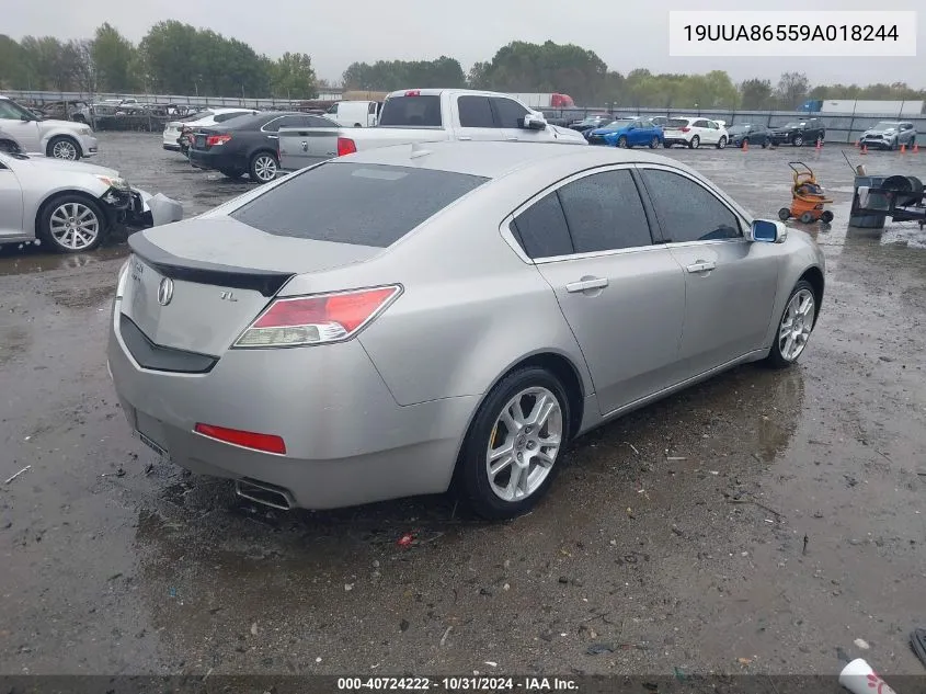 2009 Acura Tl 3.5 VIN: 19UUA86559A018244 Lot: 40724222