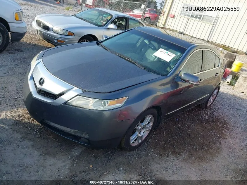 2009 Acura Tl 3.5 VIN: 19UUA86229A025559 Lot: 40727946