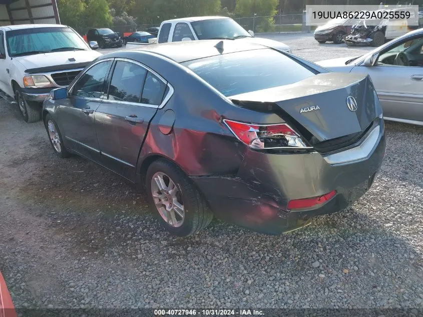 2009 Acura Tl 3.5 VIN: 19UUA86229A025559 Lot: 40727946