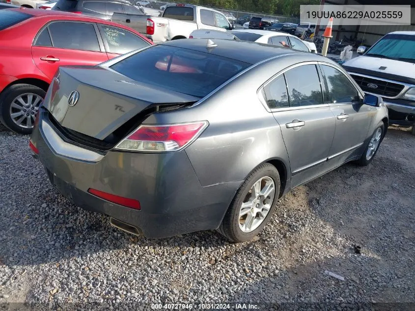 2009 Acura Tl 3.5 VIN: 19UUA86229A025559 Lot: 40727946