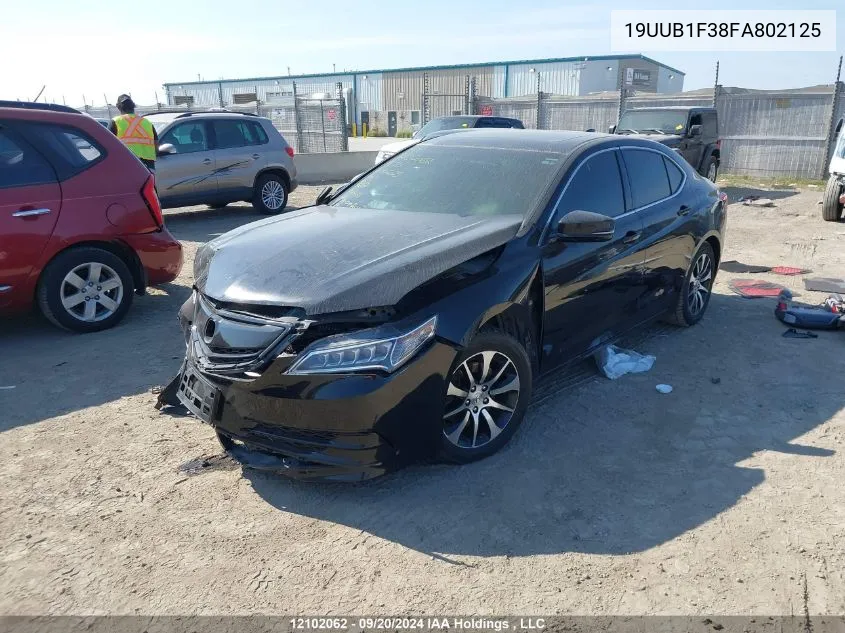 2015 Acura Tlx VIN: 19UUB1F38FA802125 Lot: 12102062