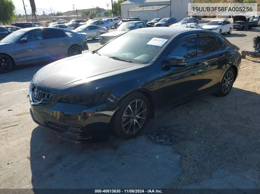 2015 Acura Tlx V6 Tech VIN: 19UUB3F58FA005256 Lot: 40813630